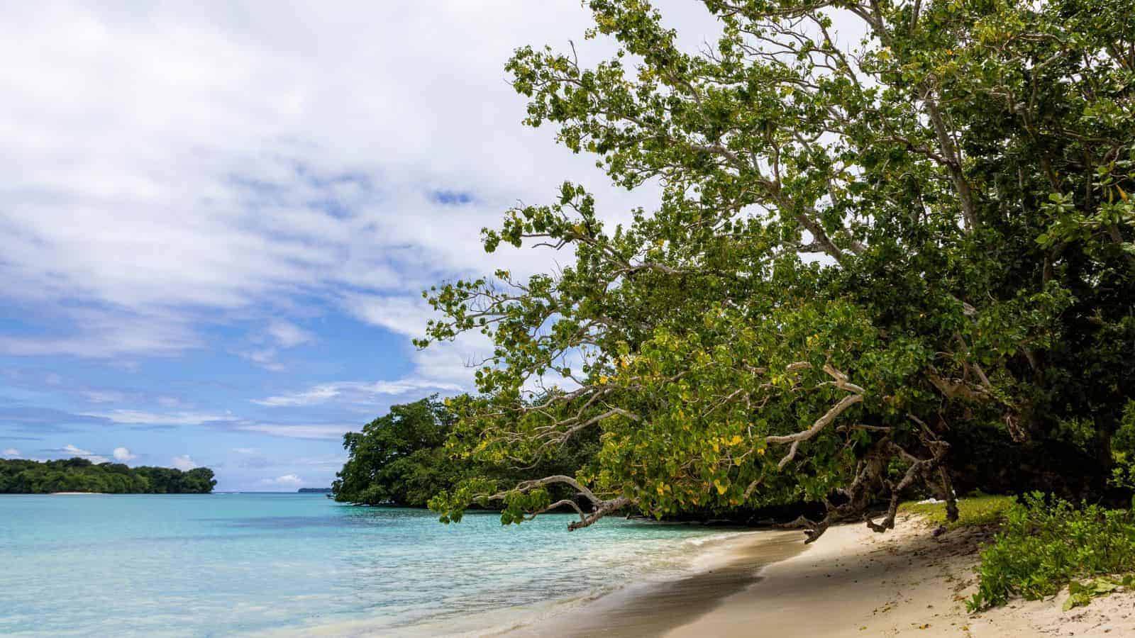 20 Peaceful Island Escapes Where You Can Truly Unplug from the World 8 Vanuatus Espiritu Santo