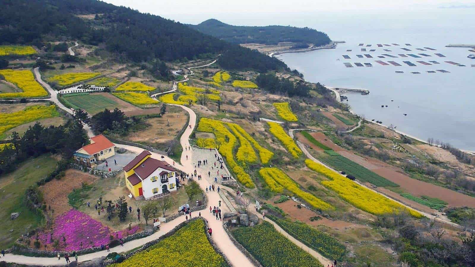 18 Loved Escapes in Asia You’ve Never Heard Of 11 Cheongsando South Korea 1