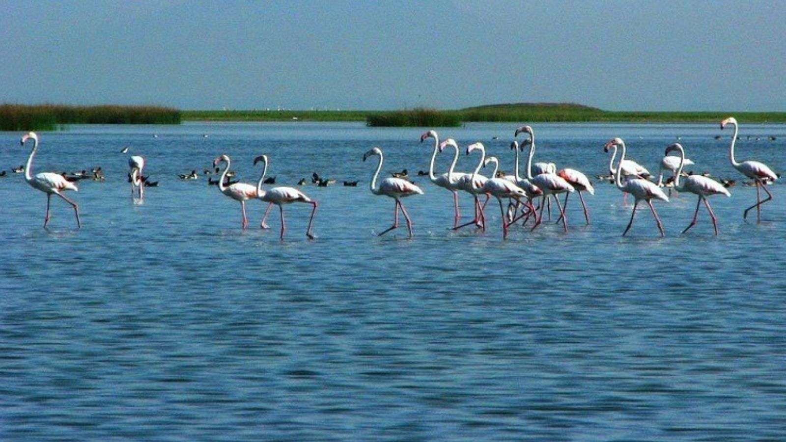 18 Loved Escapes in Asia You’ve Never Heard Of 9 Chilika Lake India