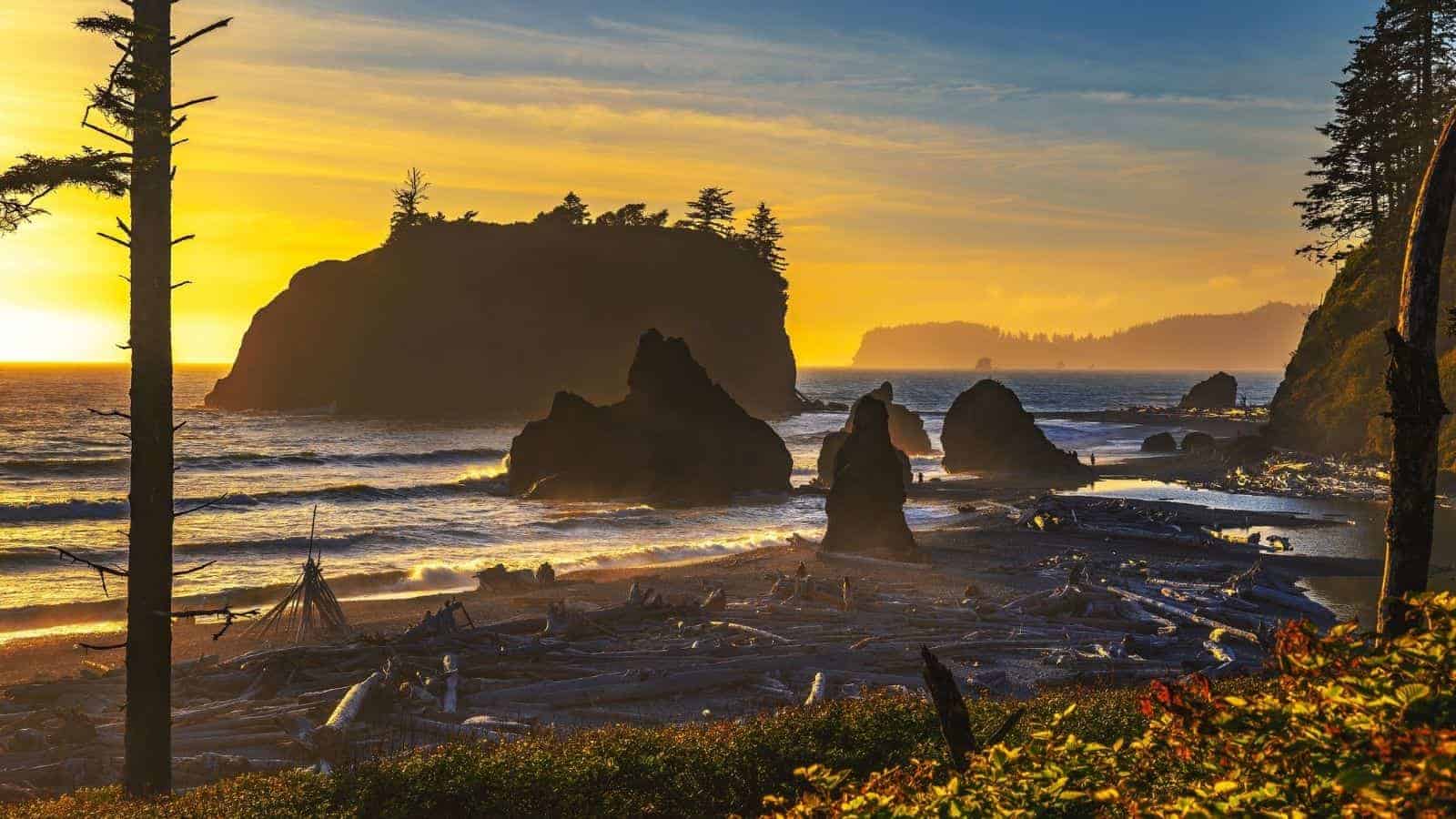 18 Secret U.S. Beaches That Locals Want to Keep to Themselves 19 Kalalochs Ruby Beach Washington