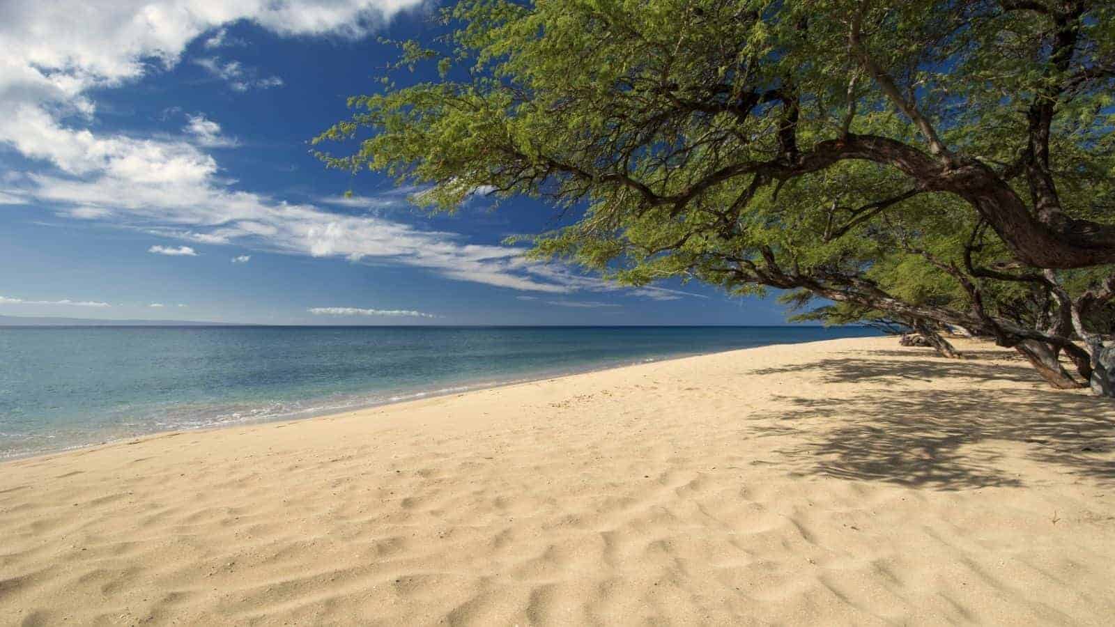 18 Secret U.S. Beaches That Locals Want to Keep to Themselves 26 18 Secret U.S. Beaches That Locals Want to Keep to Themselves
