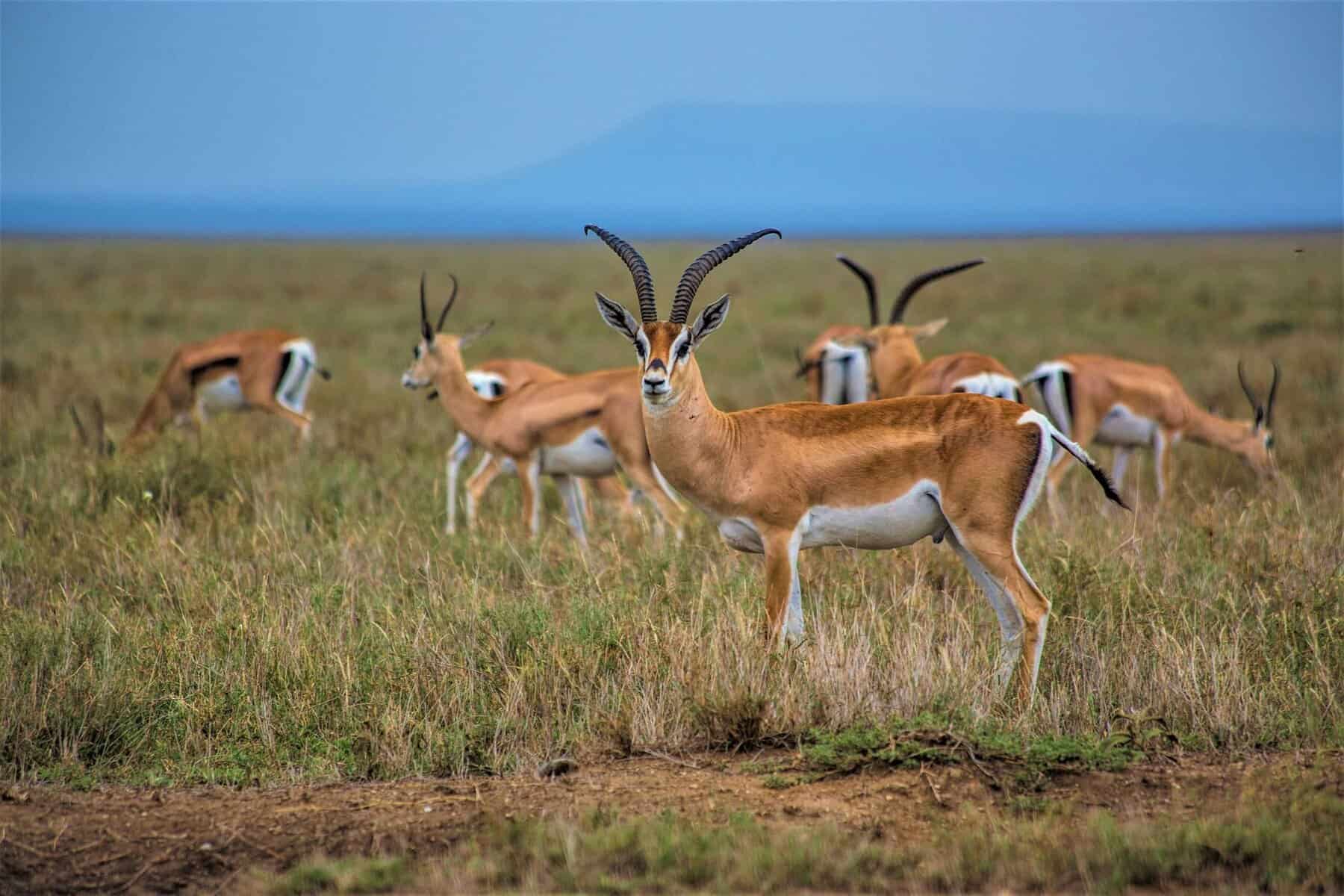 23 Affordable Trips With 5-Star Views 22 23 Affordable Trips With 5-Star Views