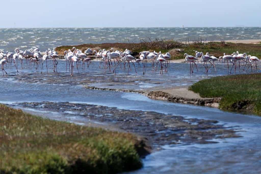 19 Low-Cost Travel Spots With High ROI 17 shutterstock 196366613