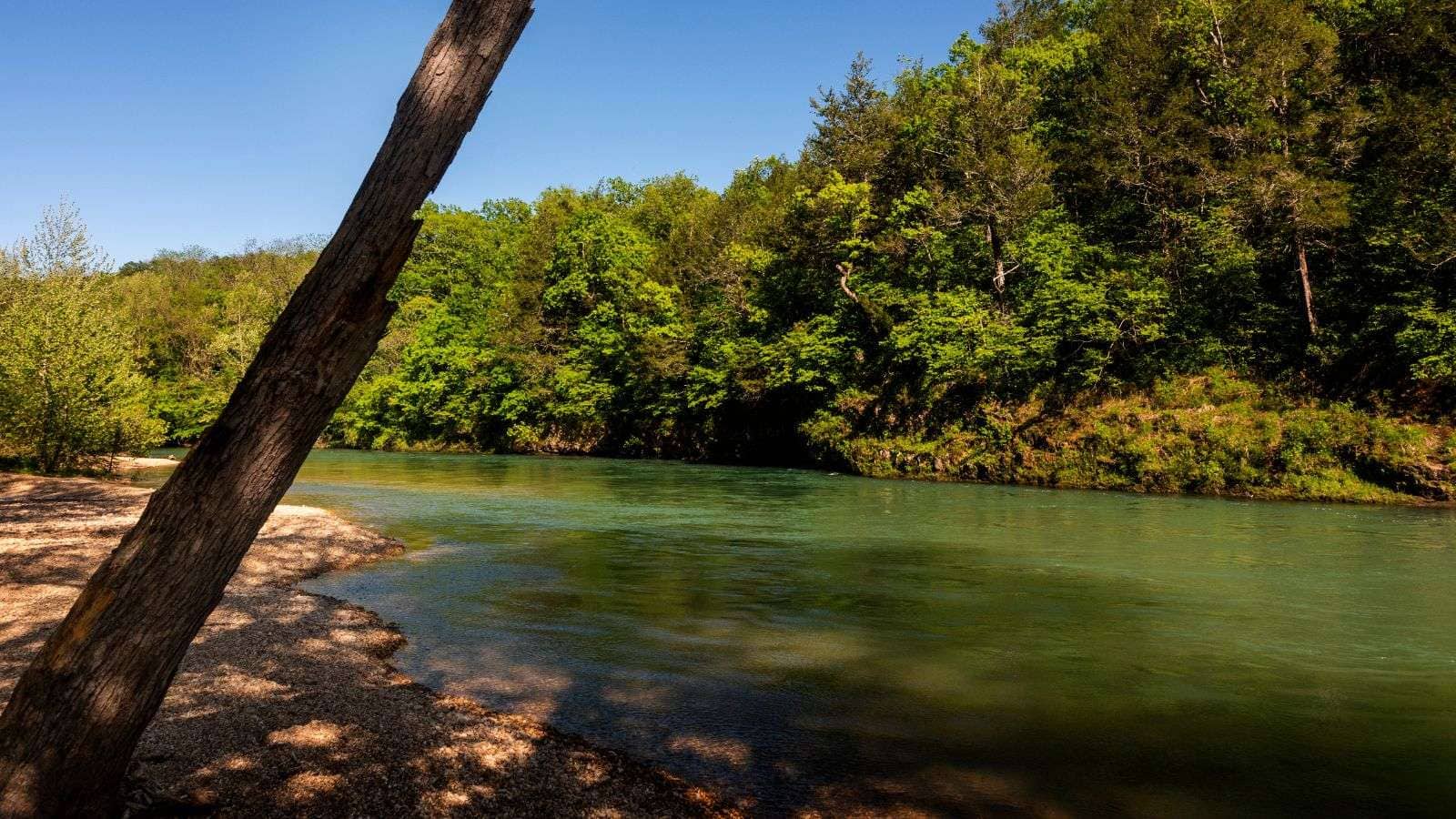 19 Local-Favorite U.S. Rivers Perfect for a Weekend Escape 19 Current River Missouri