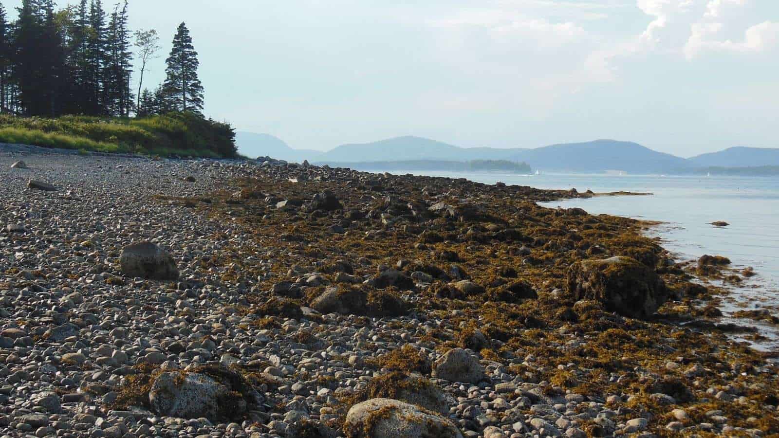 15 Remote U.S. Islands Where Locals Go to Unwind 15 Great Cranberry Island Maine