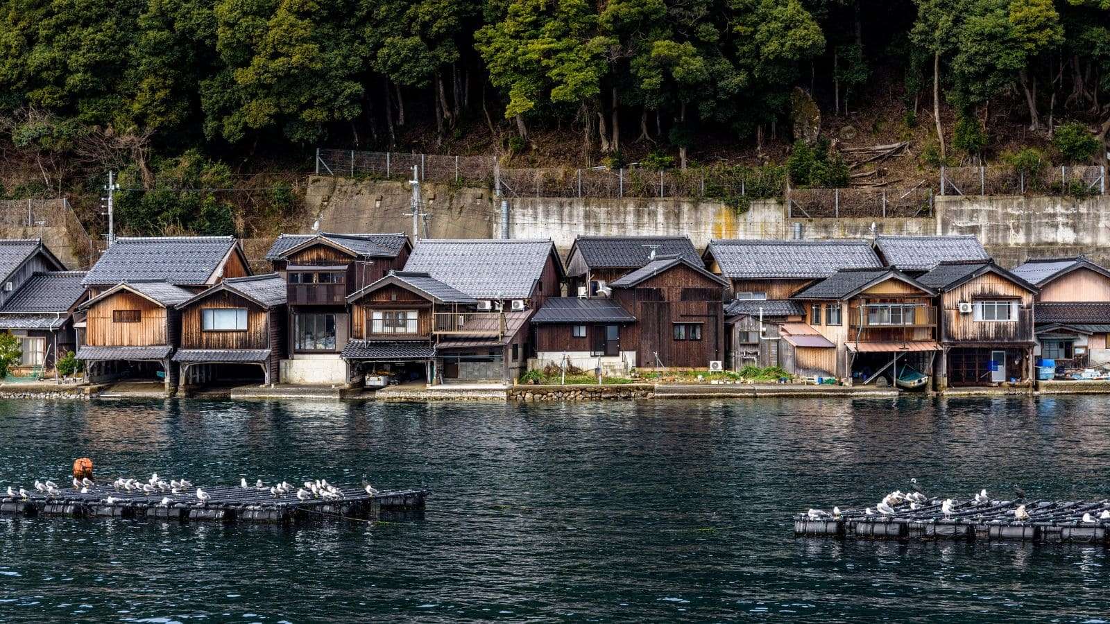 18 Hidden Gems in Japan That Only the Locals Know About 11 Ine no Funaya Kyoto Prefecture