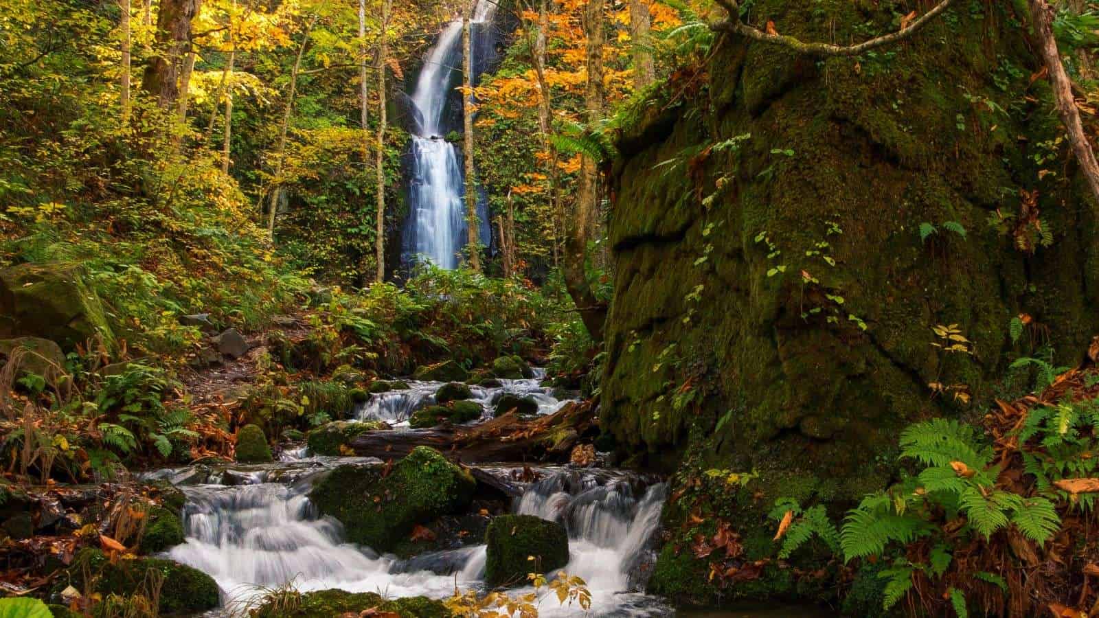 18 Hidden Gems in Japan That Only the Locals Know About 17 Lake Towada and Oirase Gorge Aomori Prefecture