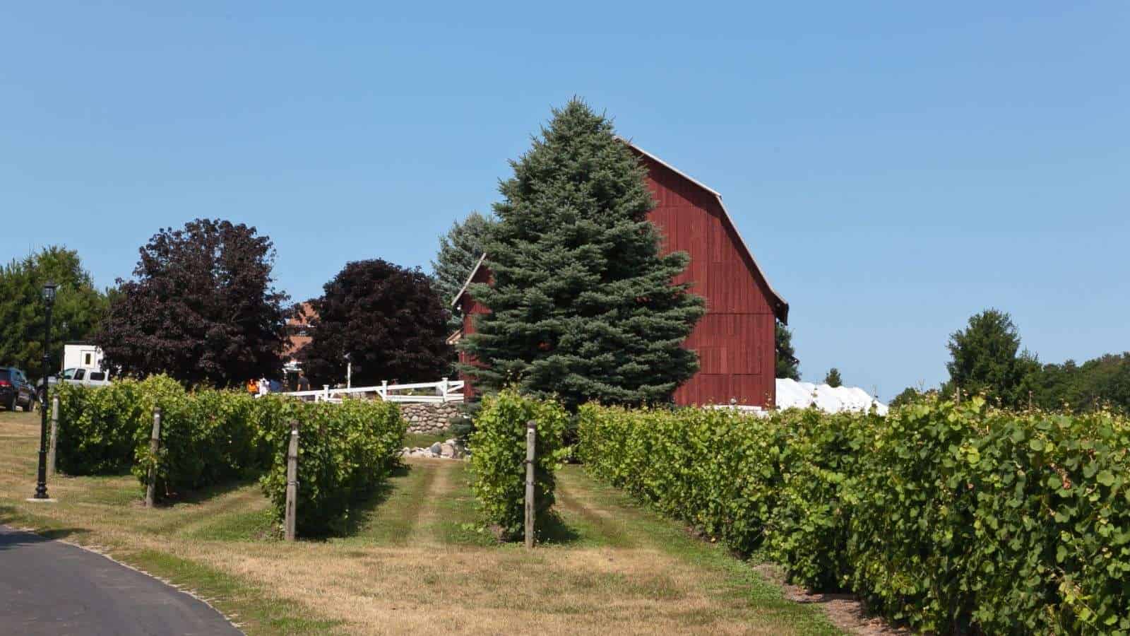 17 Hidden Wine Regions in the U.S. That Only Locals Know 2 Leelanau Peninsula Michigan