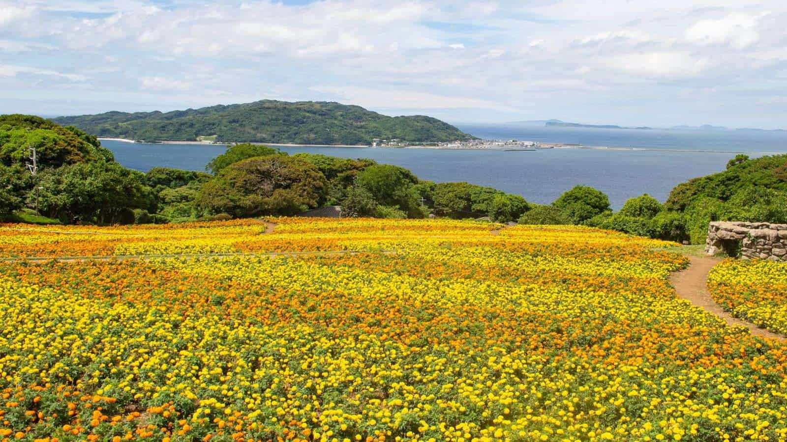 18 Hidden Gems in Japan That Only the Locals Know About 21 18 Hidden Gems in Japan That Only the Locals Know About