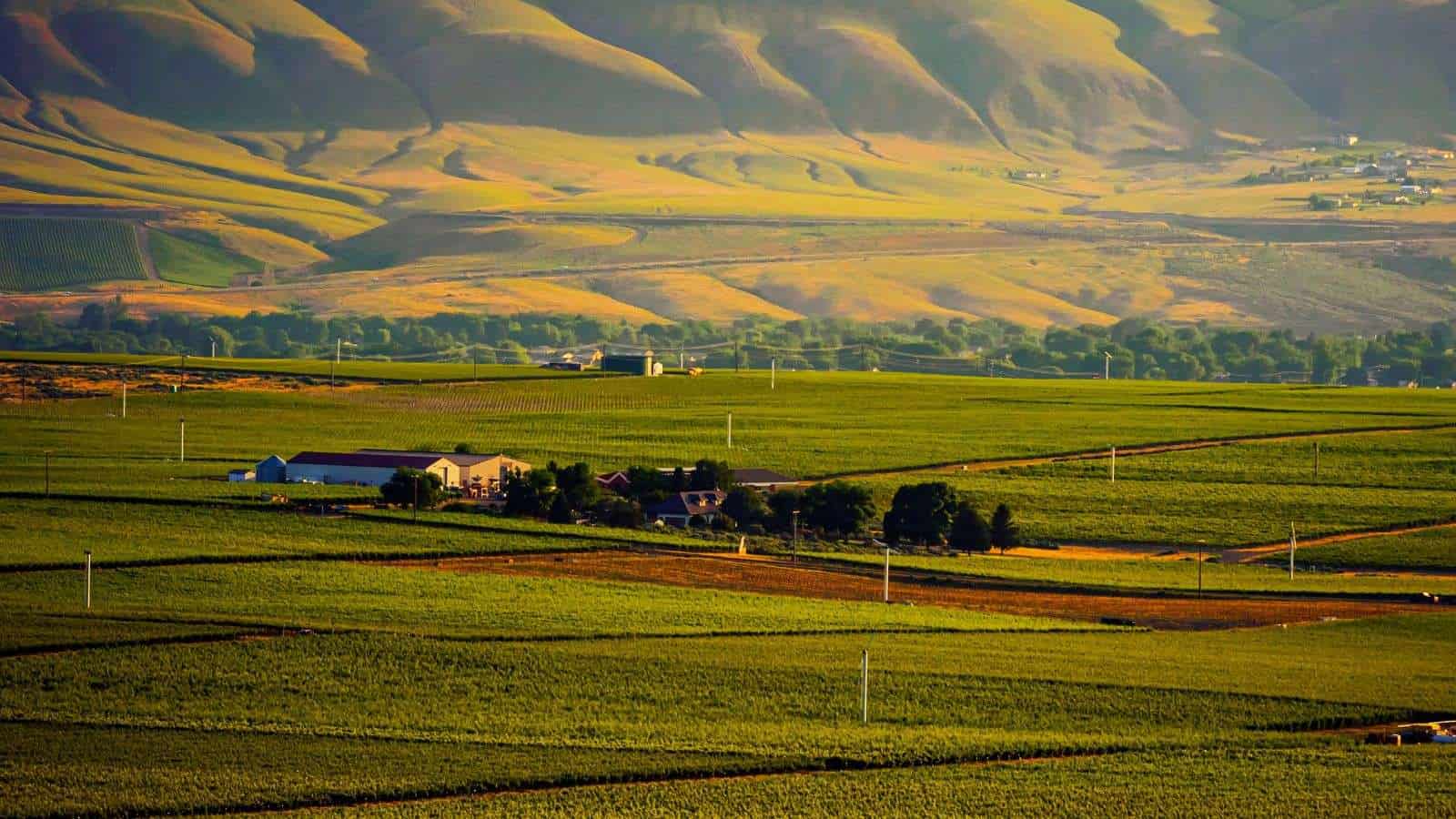 17 Hidden Wine Regions in the U.S. That Only Locals Know 15 Red Mountain Washington