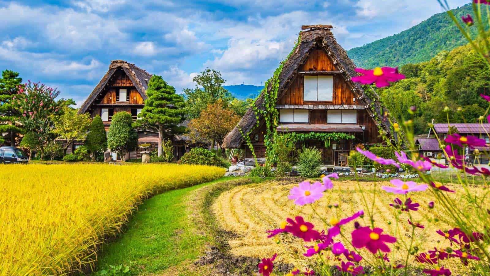 18 Hidden Gems in Japan That Only the Locals Know About 2 Shirakawa go Gifu Prefecture