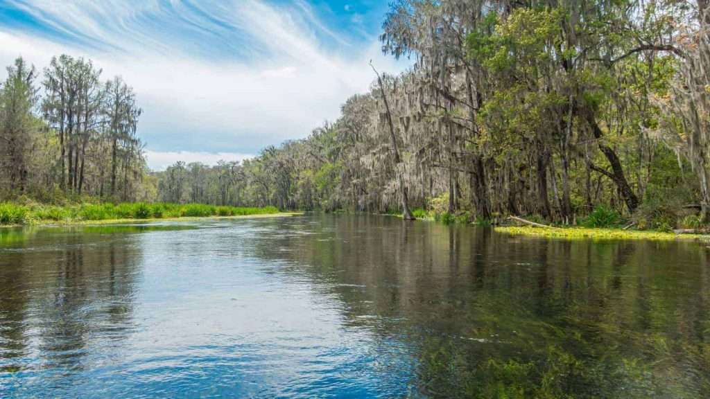 25 American Lagoons and Swamps Locals Warn You Not to Explore 21 Suwannee River Florida