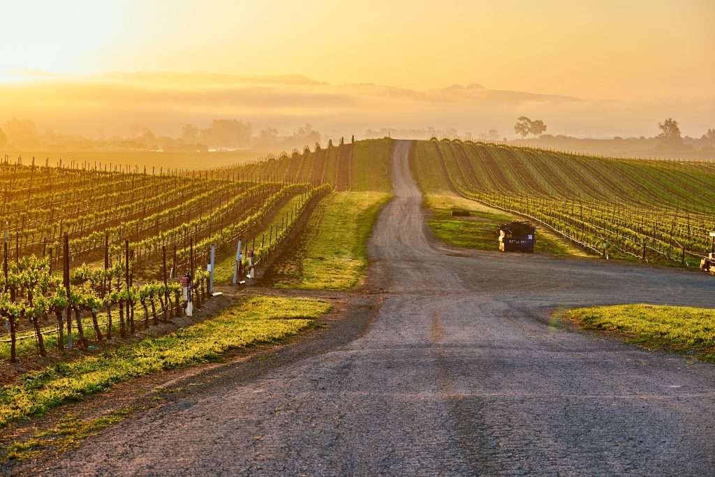 25 Trips That Pay Off Emotionally and Financially 21 shutterstock 1227407041
