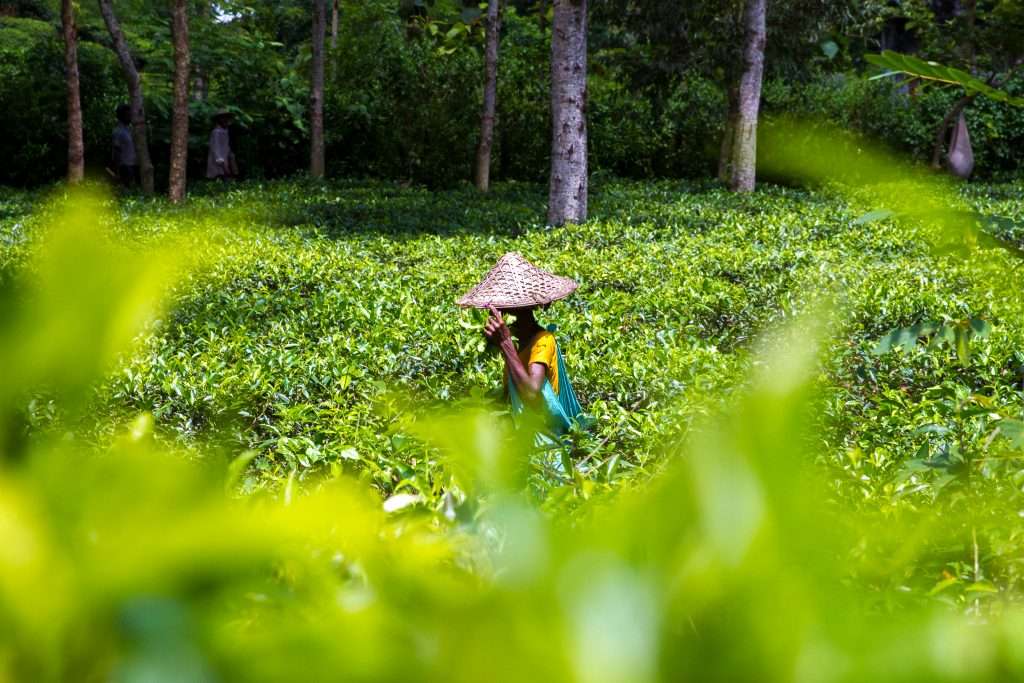21 Destinations Where You’ll Save Big 18 shutterstock 1448368958