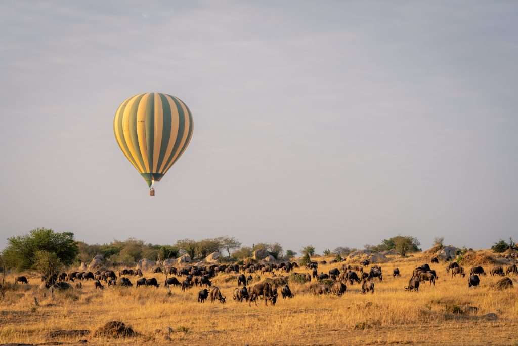 25 Trips That Pay Off Emotionally and Financially 6 shutterstock 2389537795