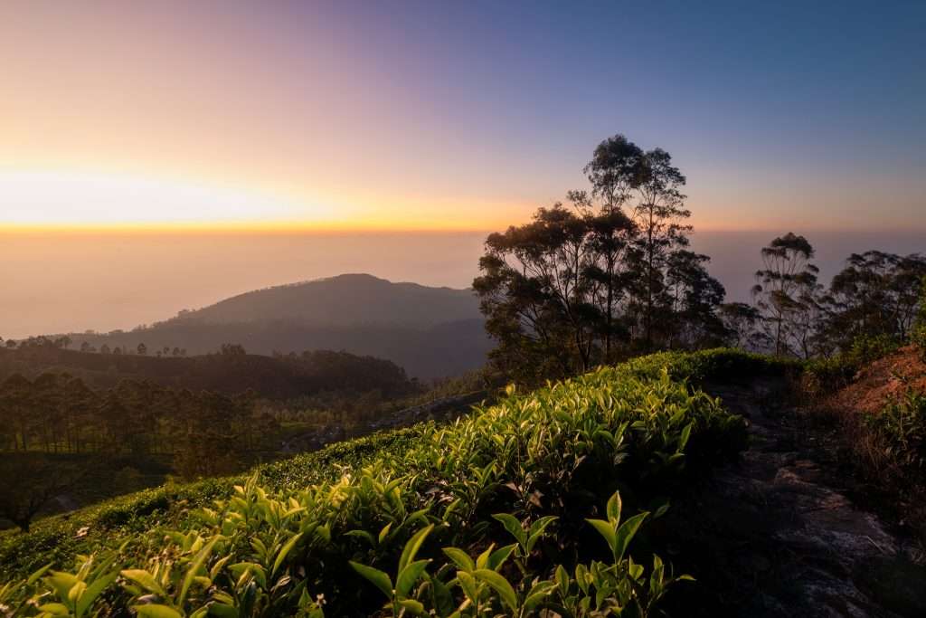 22 Scenic Places That Help You Travel Smart 8 shutterstock 2443827395