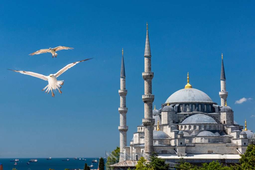 25 Trips That Pay Off Emotionally and Financially 15 shutterstock 2485653221