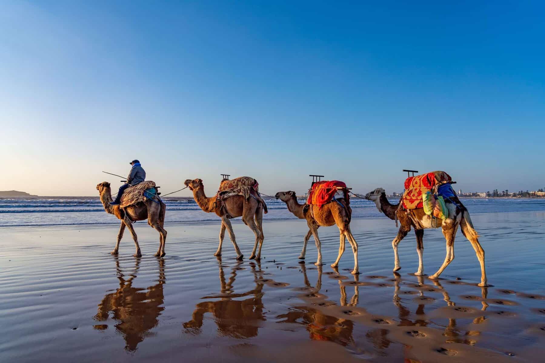 26 Budget-Friendly Trips That Look Expensive 31 26 Budget-Friendly Trips That Look Expensive