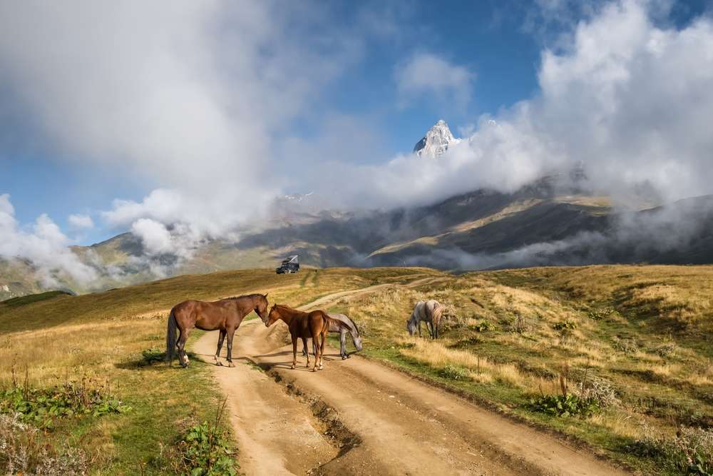 23 High-Impact Trips for Low Budgets 3 shutterstock 2138511195