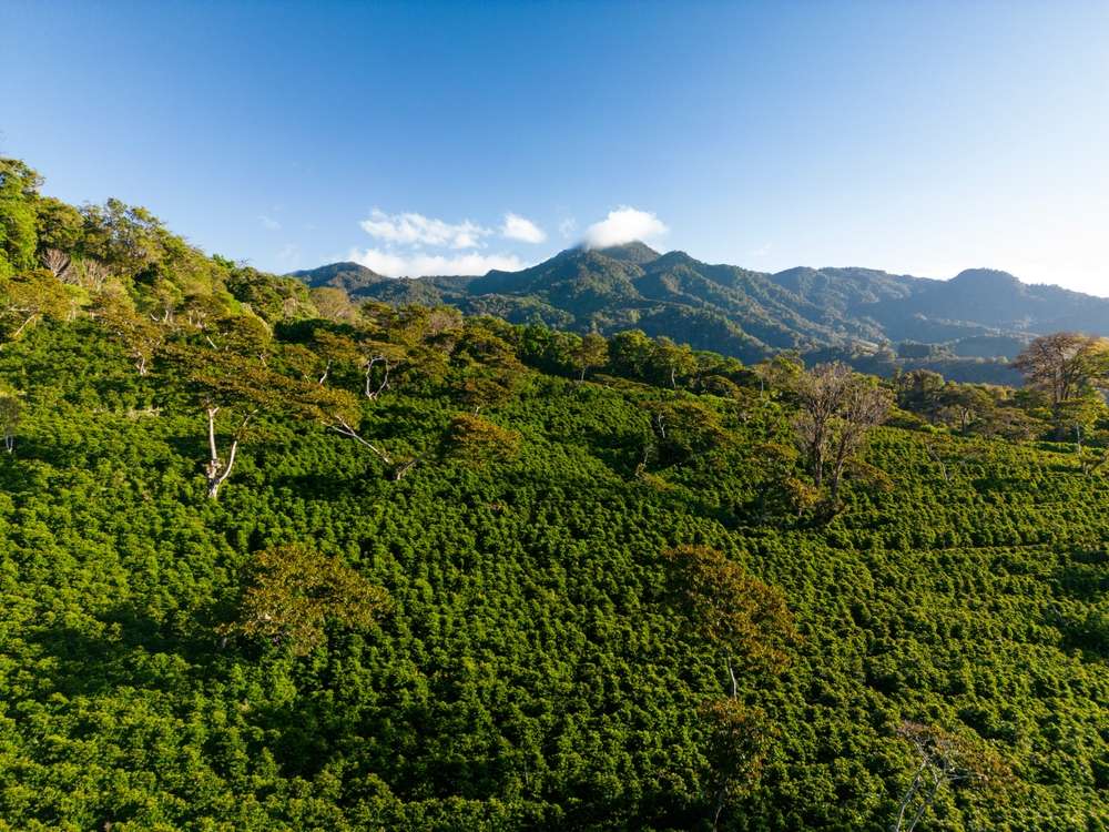 23 Gorgeous Places That Save You Thousands 16 shutterstock 2424076615