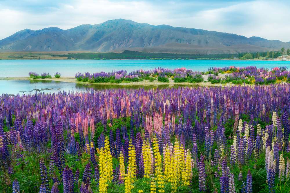 21 Budget-Friendly Trips With Million-Dollar Views 6 shutterstock 695528176