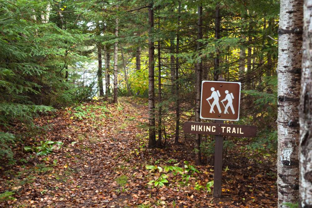 21 Forests With Unexplainable Rules Locals Actually Follow 13 shutterstock 1191270085