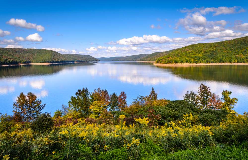 21 Forests With Unexplainable Rules Locals Actually Follow 11 shutterstock 1817899499