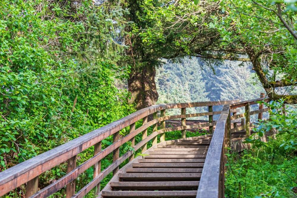 20 State Parks That Are Just as Good as National Parks 16 shutterstock 2031573053