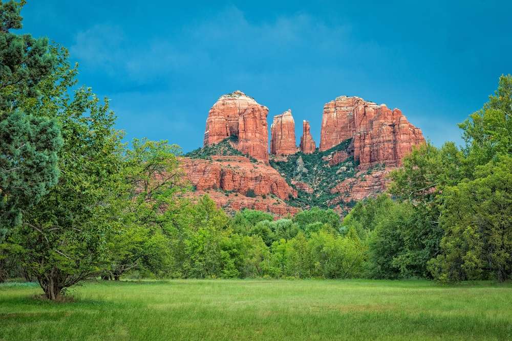 21 Forests With Unexplainable Rules Locals Actually Follow 14 shutterstock 2097231709