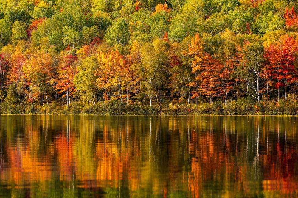 20 State Parks That Are Just as Good as National Parks 14 shutterstock 2402635215
