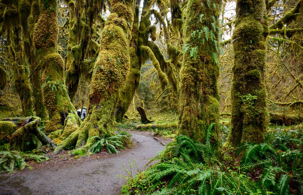 21 Places in the U.S. That Look Straight Out of a Fairy Tale 20 shutterstock 640425094