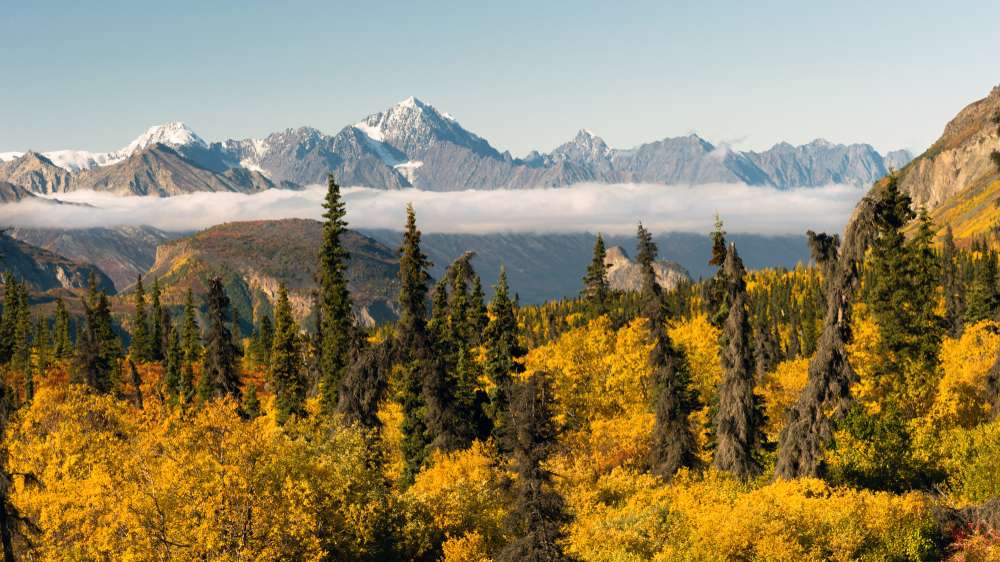 21 National Forest Cabins You Can Rent for a Rustic Getaway 7 shutterstock 1052834189