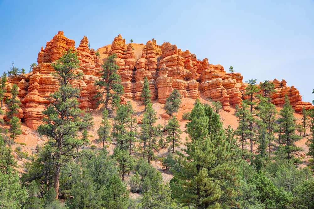 21 National Forest Cabins You Can Rent for a Rustic Getaway 14 shutterstock 1283055103