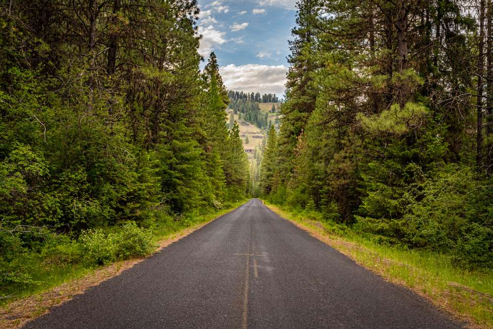 21 National Forest Cabins You Can Rent for a Rustic Getaway 20 shutterstock 1569485233