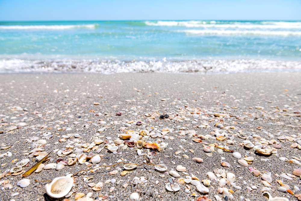 25 American Beaches Locals Call Beautiful by Day, Terrifying by Night 12 shutterstock 1840089295