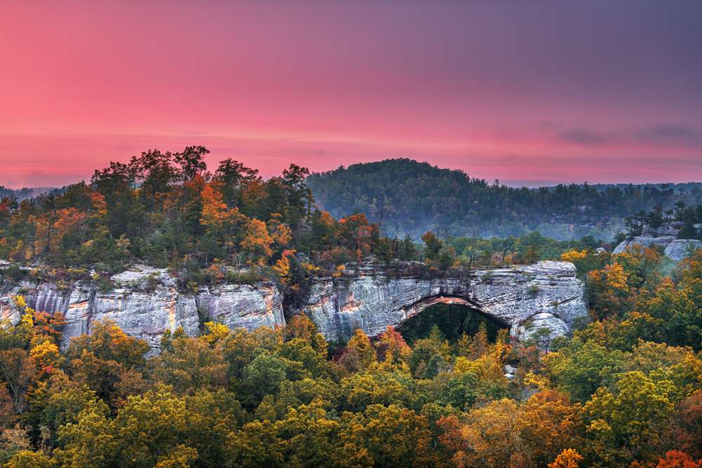 21 Forests With Unexplainable Rules Locals Actually Follow 15 shutterstock 1865362231