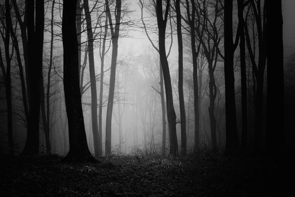 23 Haunted Places in the U.S. That Locals Still Avoid 3 shutterstock 2029491560