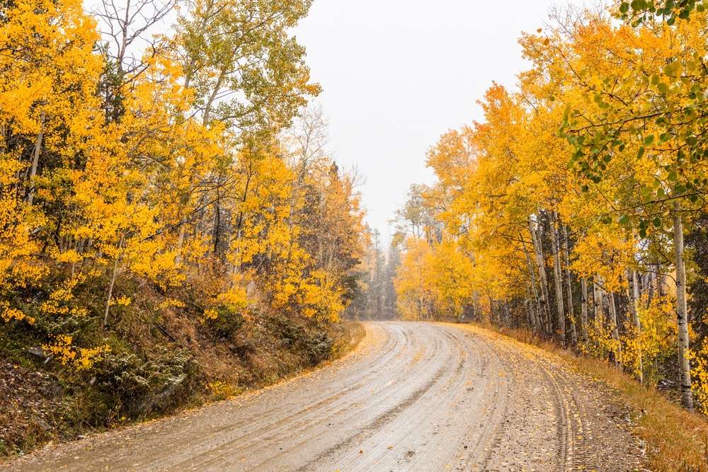 21 National Forest Cabins You Can Rent for a Rustic Getaway 4 shutterstock 2102049322