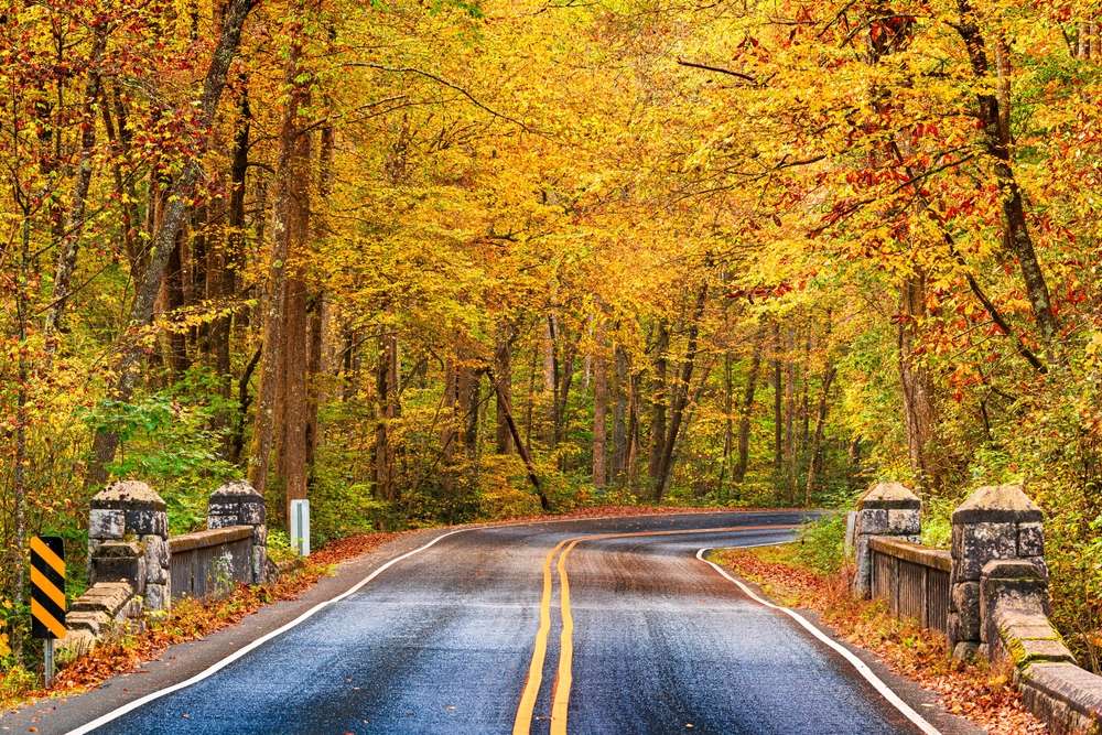 21 Forests With Unexplainable Rules Locals Actually Follow 7 shutterstock 2294058907
