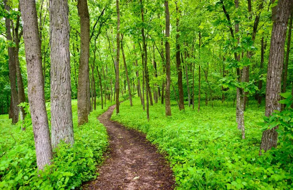 22 Underrated State Parks That Rival the Big National Parks 18 shutterstock 304982276