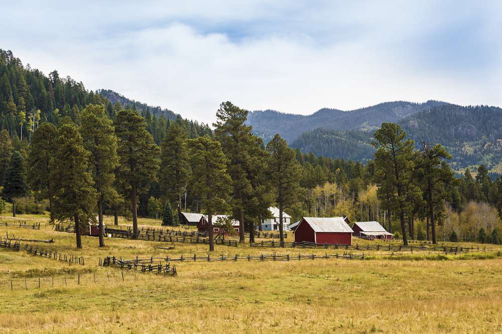 21 National Forest Cabins You Can Rent for a Rustic Getaway 18 shutterstock 412009279