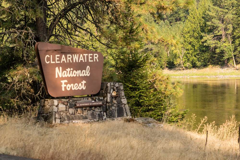 21 National Forest Cabins You Can Rent for a Rustic Getaway 9 shutterstock 709782778