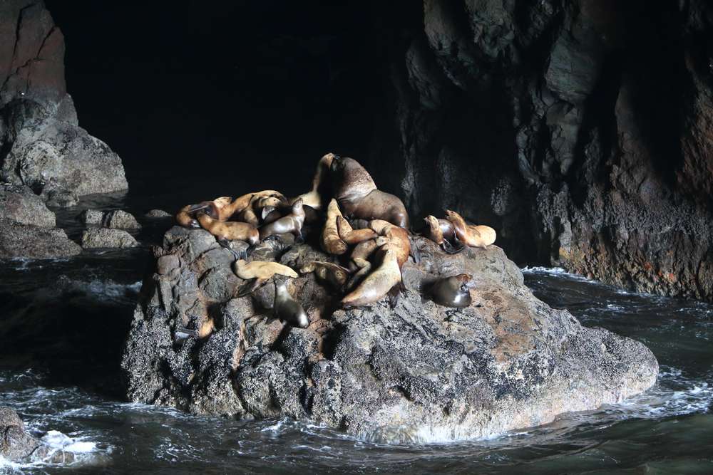 18 Hidden Caves and Caverns in the U.S. You Can Explore 14 shutterstock 1033348615