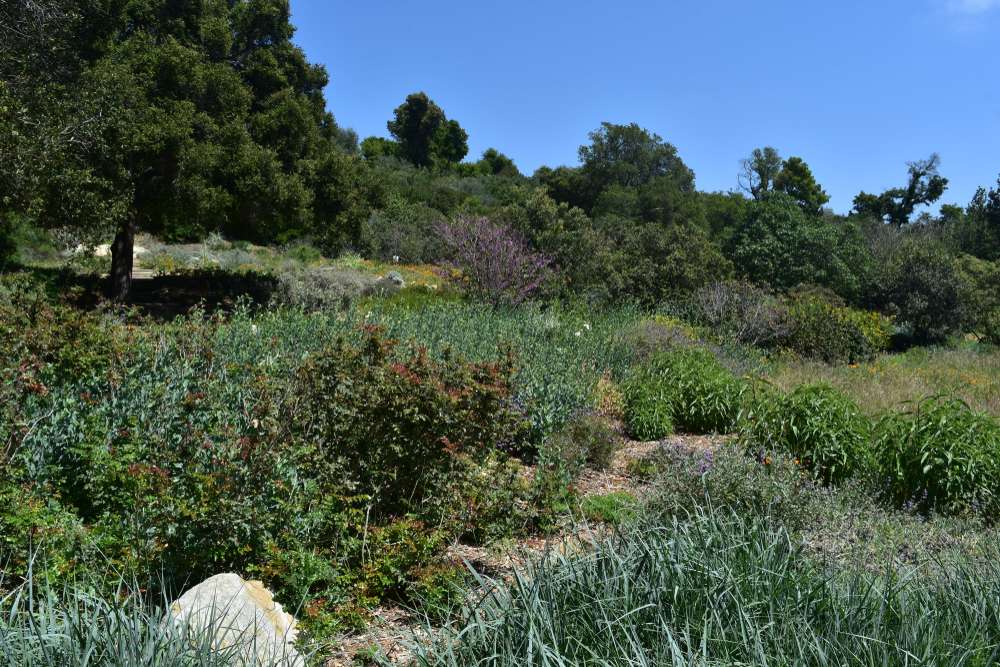 24 Beautiful U.S. Botanical Gardens You’ve Probably Never Heard Of 13 shutterstock 1115510195
