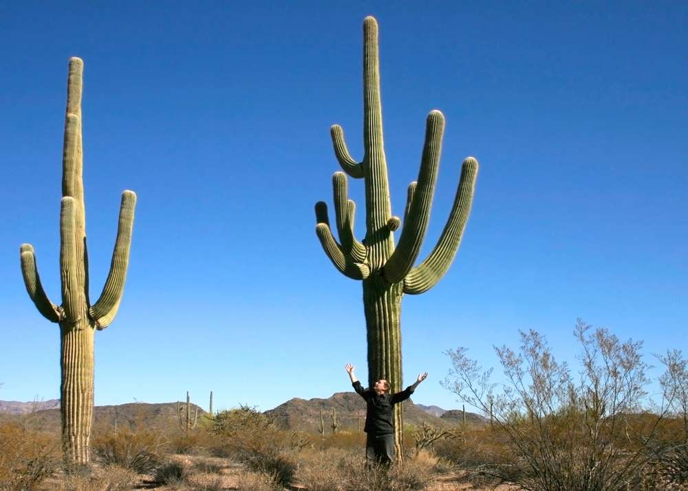 20 National Monuments That Are Surprisingly Empty 26 20 National Monuments That Are Surprisingly Empty