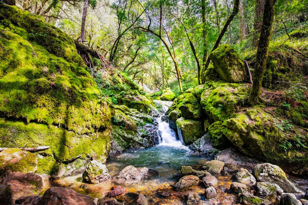 21 Scenic U.S. Waterfalls You Can Hike to Without the Crowds 6 shutterstock 1359651389