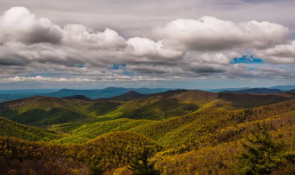 22 Bizarre U.S. Attractions That Are Weirdly Worth Visiting 8 shutterstock 144166639