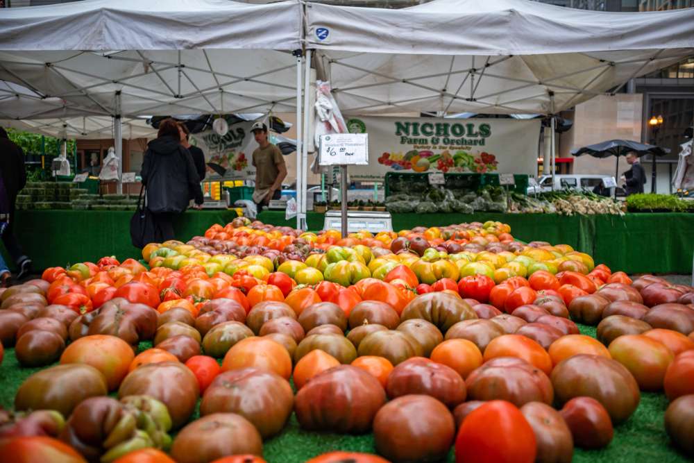 23 Local Markets Across America Worth a Road Trip 10 shutterstock 1524485558
