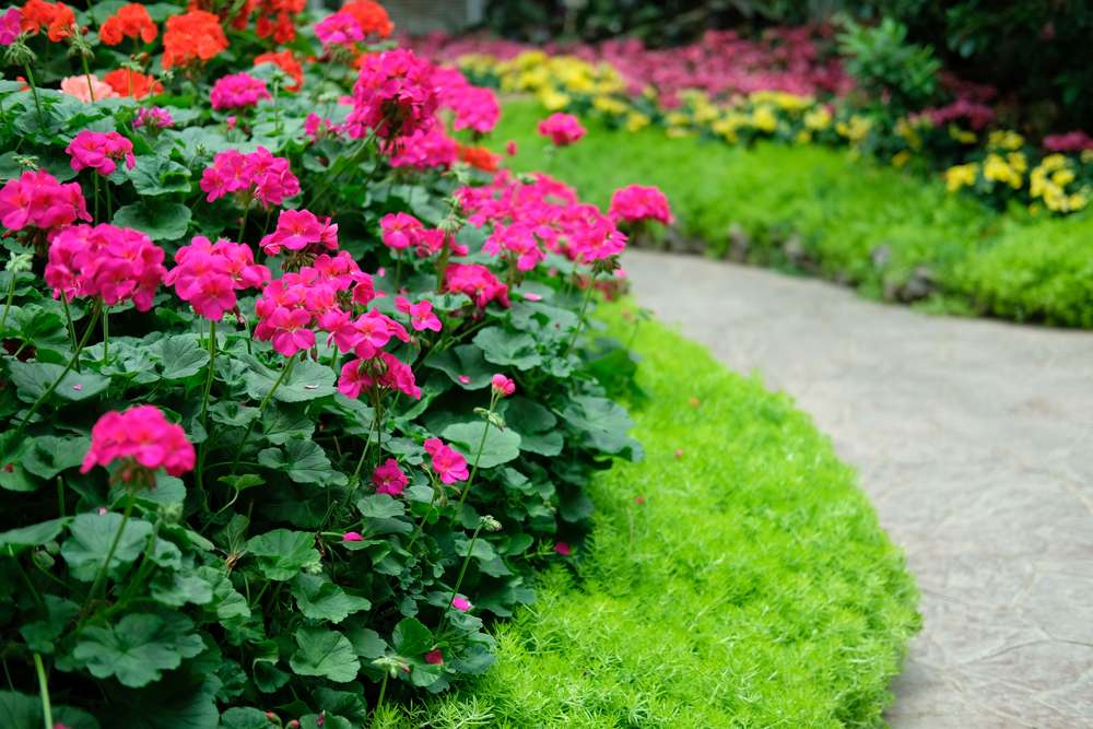 24 Beautiful U.S. Botanical Gardens You’ve Probably Never Heard Of 5 shutterstock 1960254490