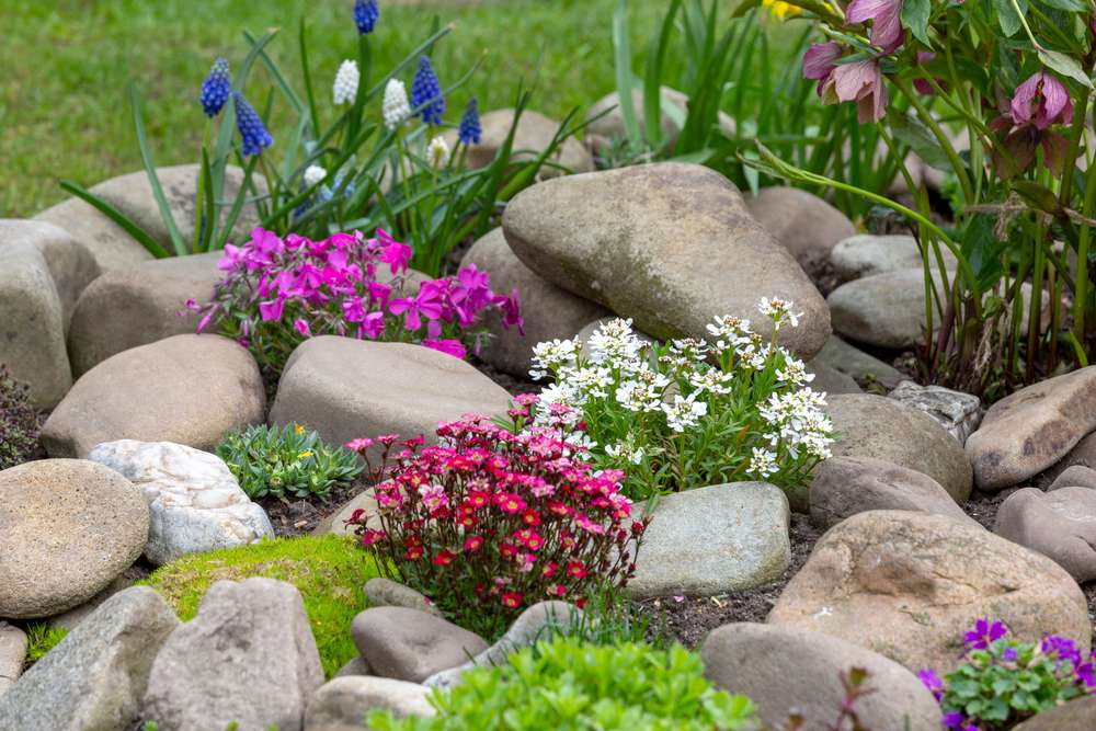24 Beautiful U.S. Botanical Gardens You’ve Probably Never Heard Of 8 shutterstock 1976195546